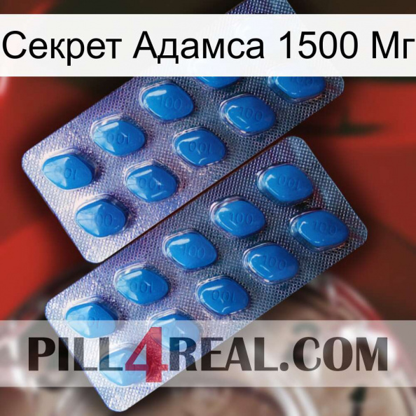 Секрет Адамса 1500 Мг viagra2.jpg